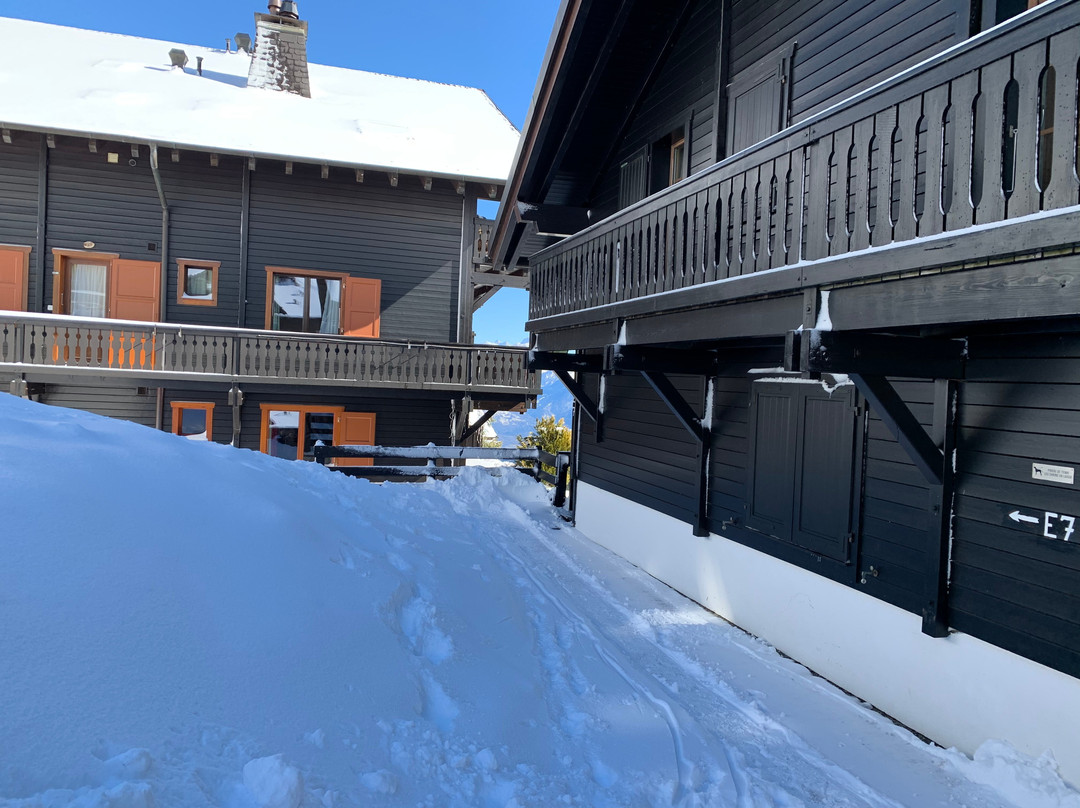 Royal Alpage Club主图