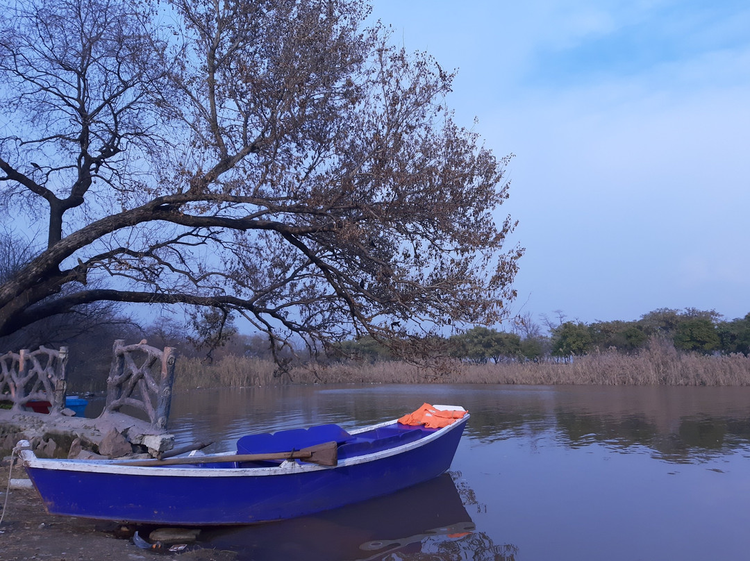 Rawal Lake景点图片