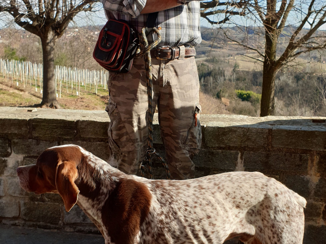 Azienda Agricola Aloi Luca-Monta必去景点