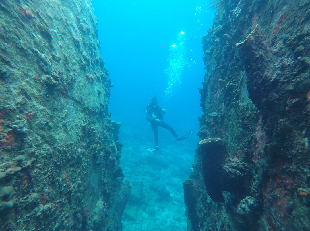 SALT-Toucari必去景点