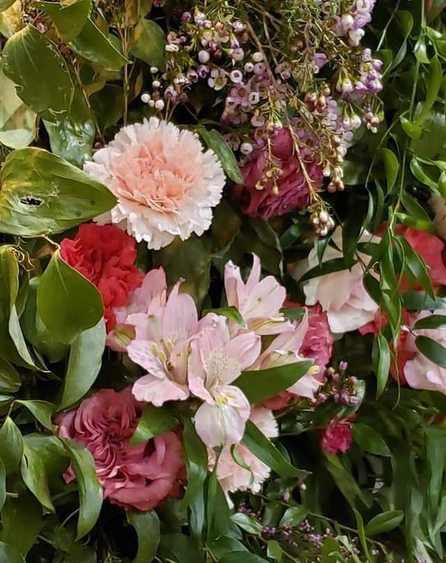 PHS Pop Up Garden South Street-费城必去景点