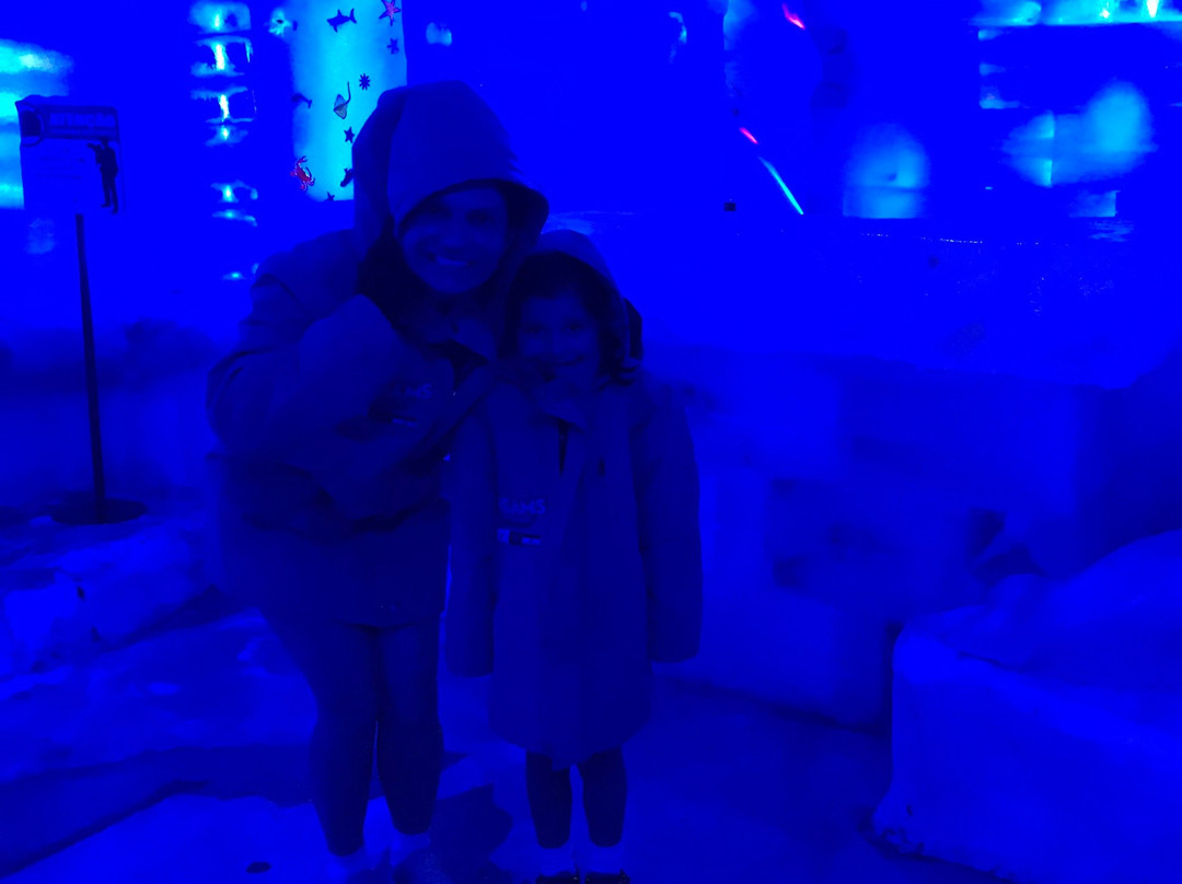 Dreams Ice Bar-伊瓜苏必去景点