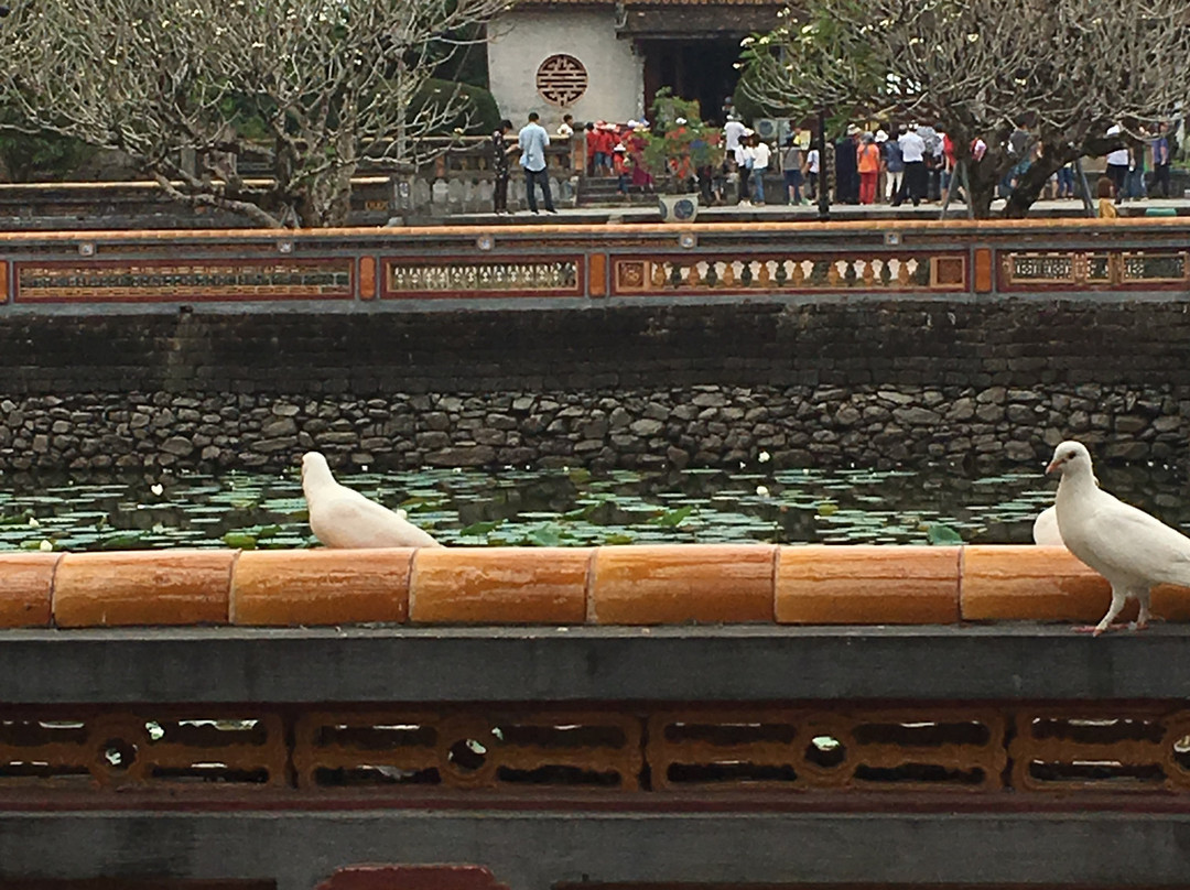 Thai Hoa Palace-顺化必去景点