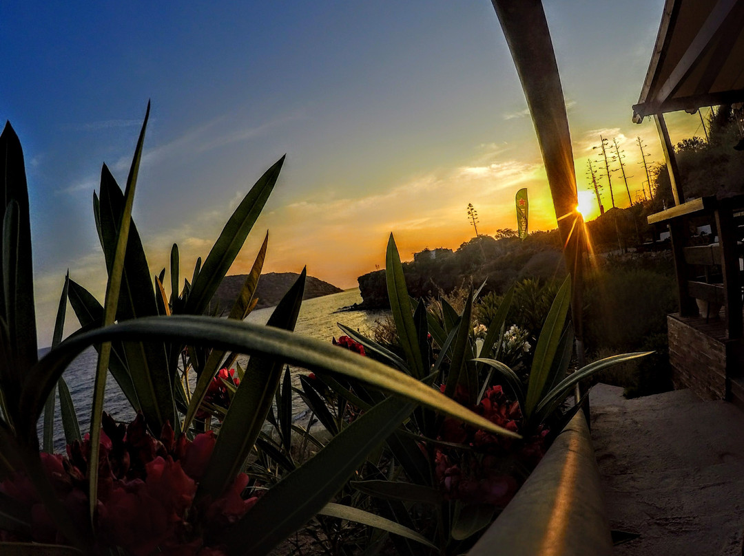 Nisos Café Bar-Anavyssos必去景点