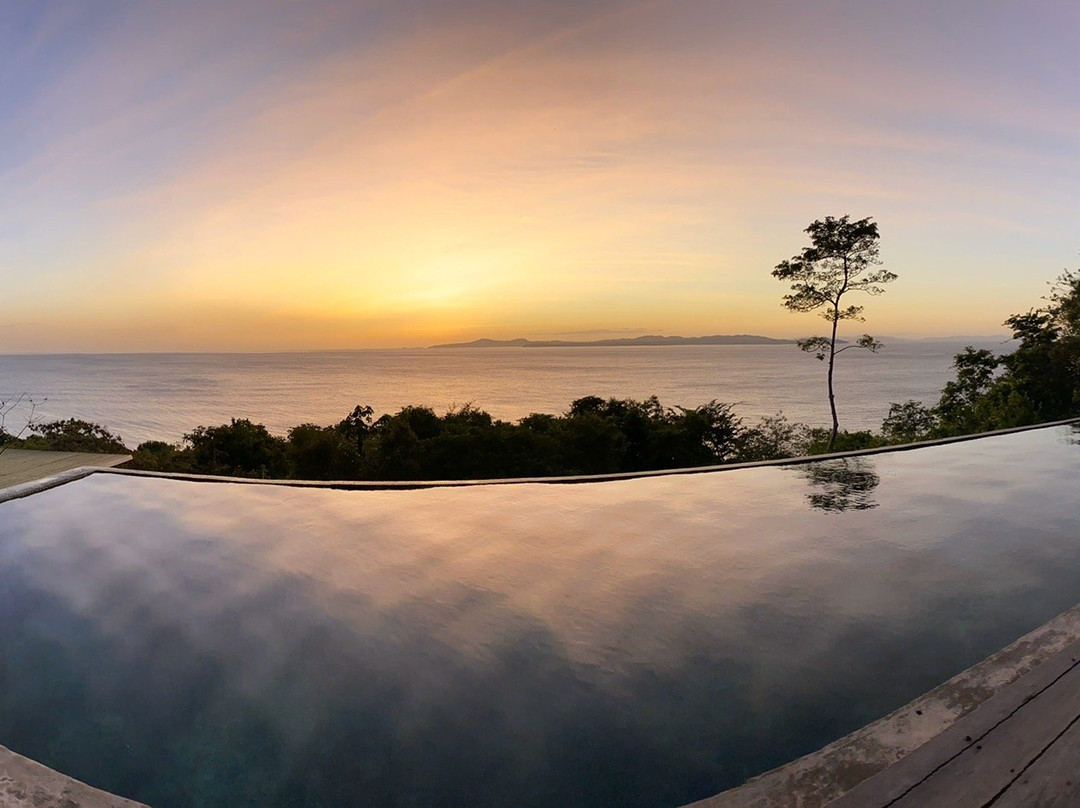 Camino Del Sol主图