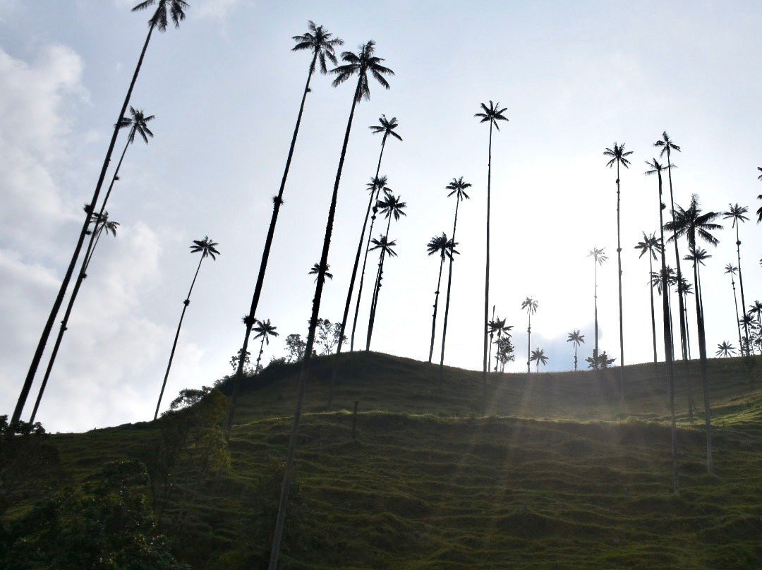 Penelope Birding-Circasia必去景点