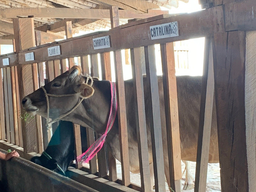 Hacienda La Collpa-卡哈马卡必去景点