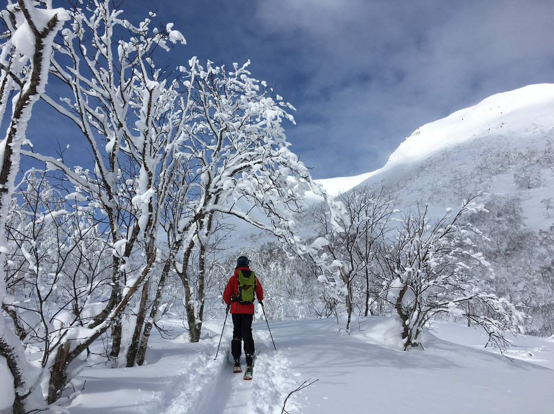 Niseko Winterlab景点图片