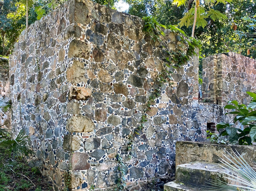Cinnamon Bay Nature Trail-维尔京群岛国家公园必去景点