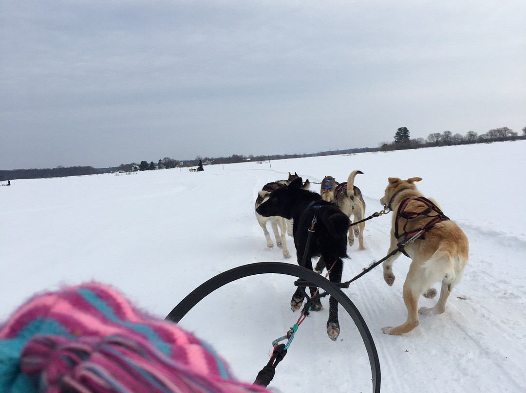 Les Aventures Liguoriennes-Saint-Liguori必去景点
