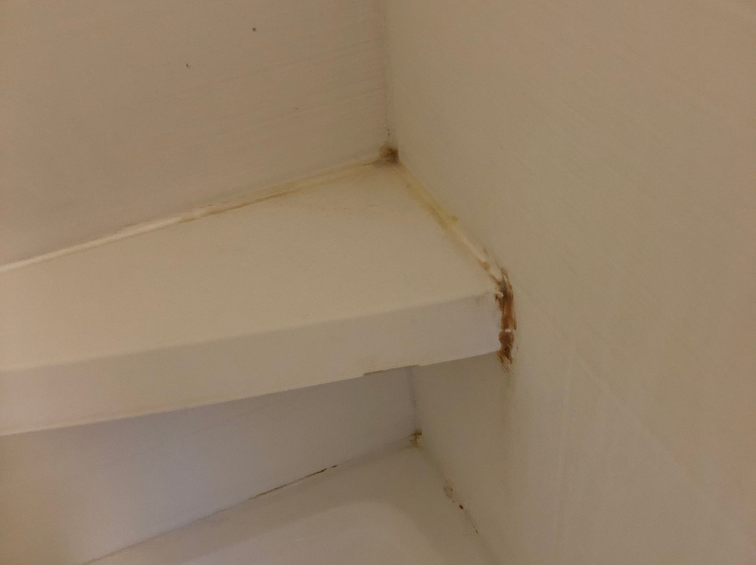 TownePlace Suites by Marriott Dothan主图