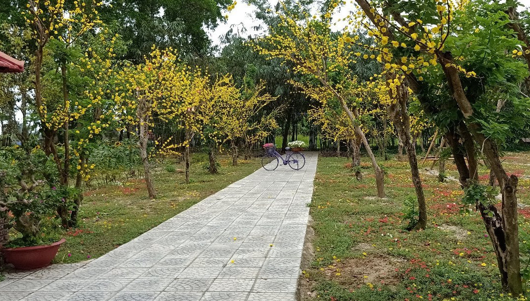 Ha Gia Ecolodge & Riverside主图