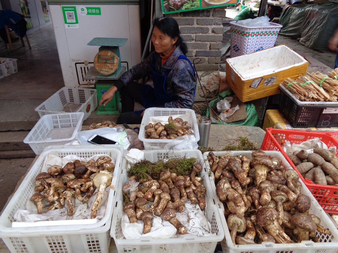 古城忠义市场-丽江市必去景点