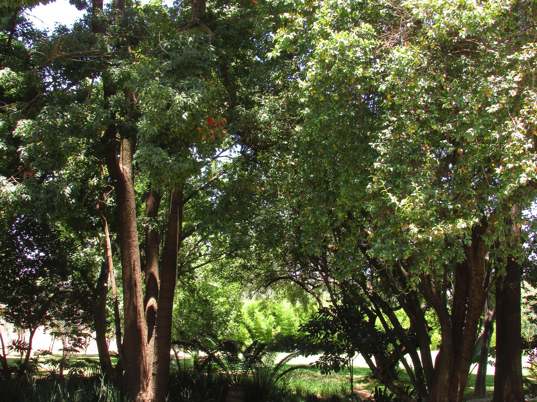 Monchique Guest House主图