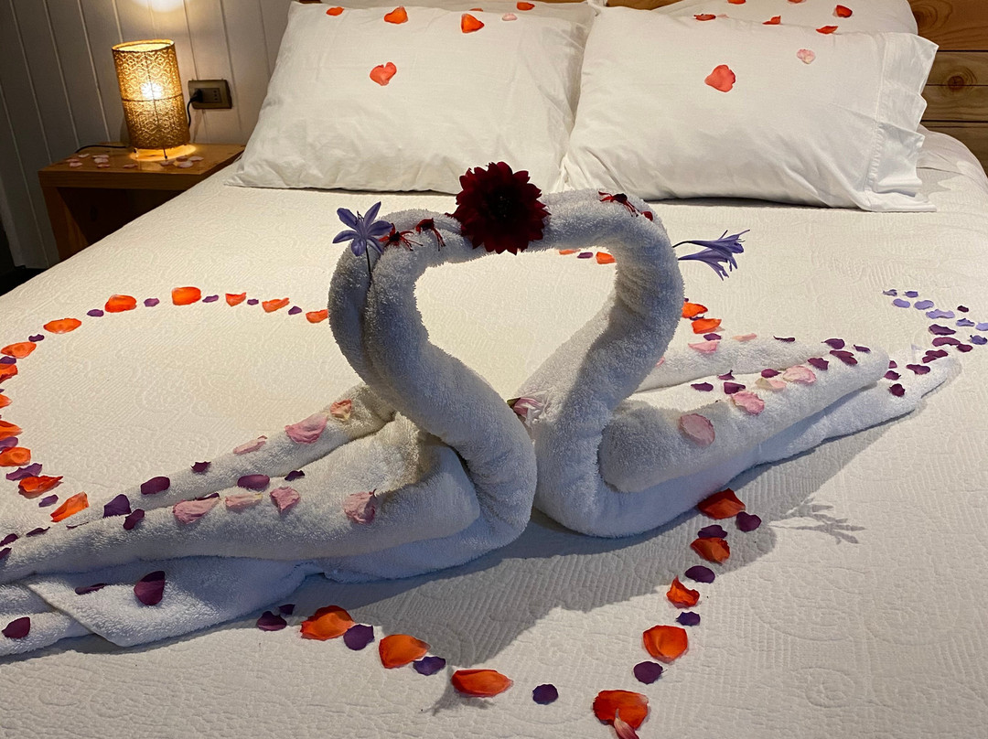 Treca Rupan Lodge主图