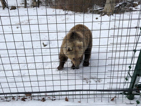 Transylvania Discovery Tours-布拉索夫必去景点