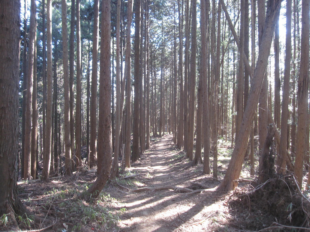 Mt. Hinode-日之出町必去景点