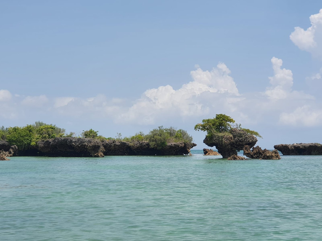 ZanOmar Tour & Safaris Limited-蓬圭必去景点