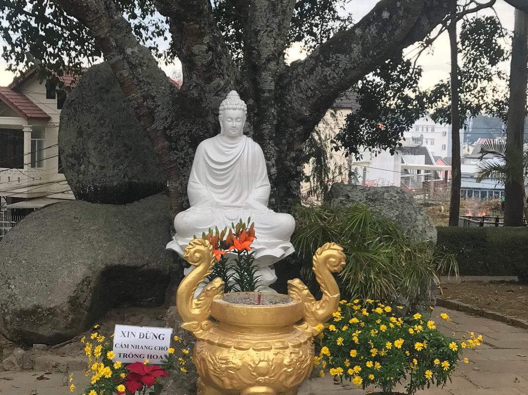 Da Lat Thien Nhien-大勒必去景点