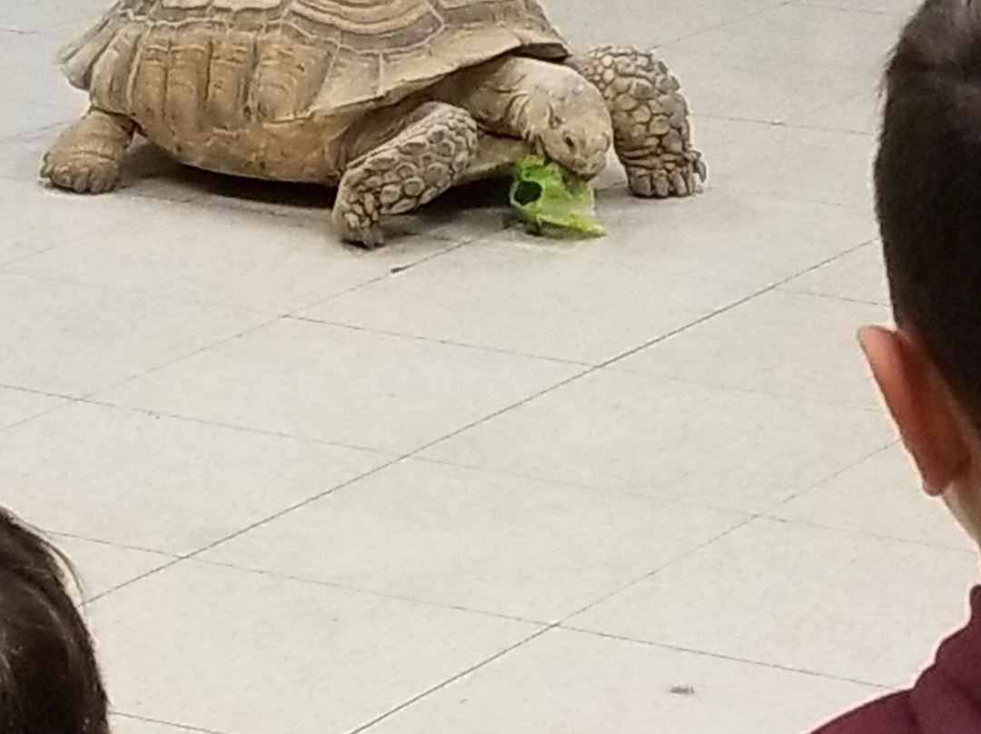 Star Eco Station-卡尔弗城必去景点