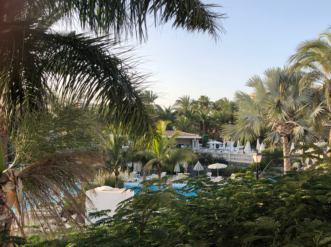 Palm Oasis Maspalomas主图