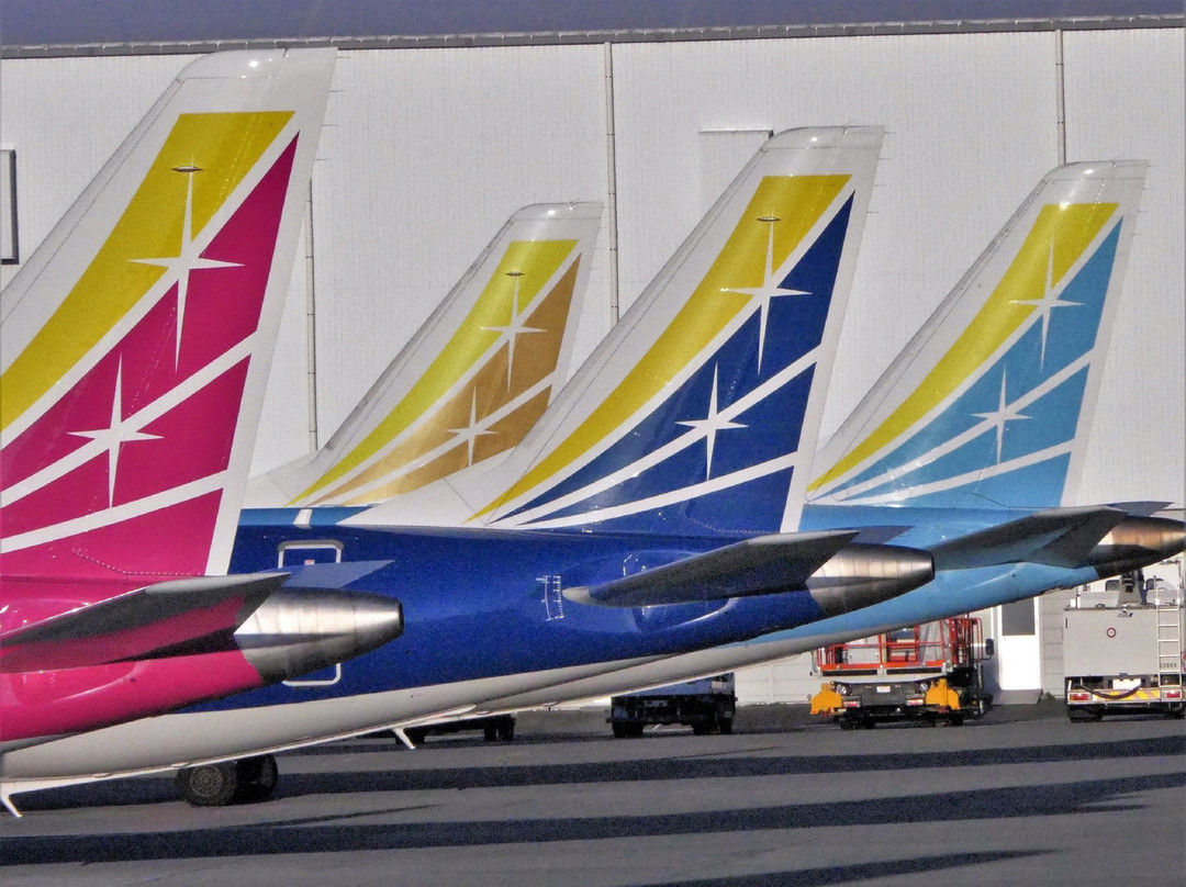 Sekiun-in Temple Observation Deck-牧之原市必去景点
