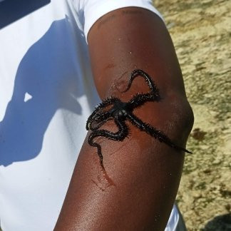 Jumuia Conference & Beach Resort主图