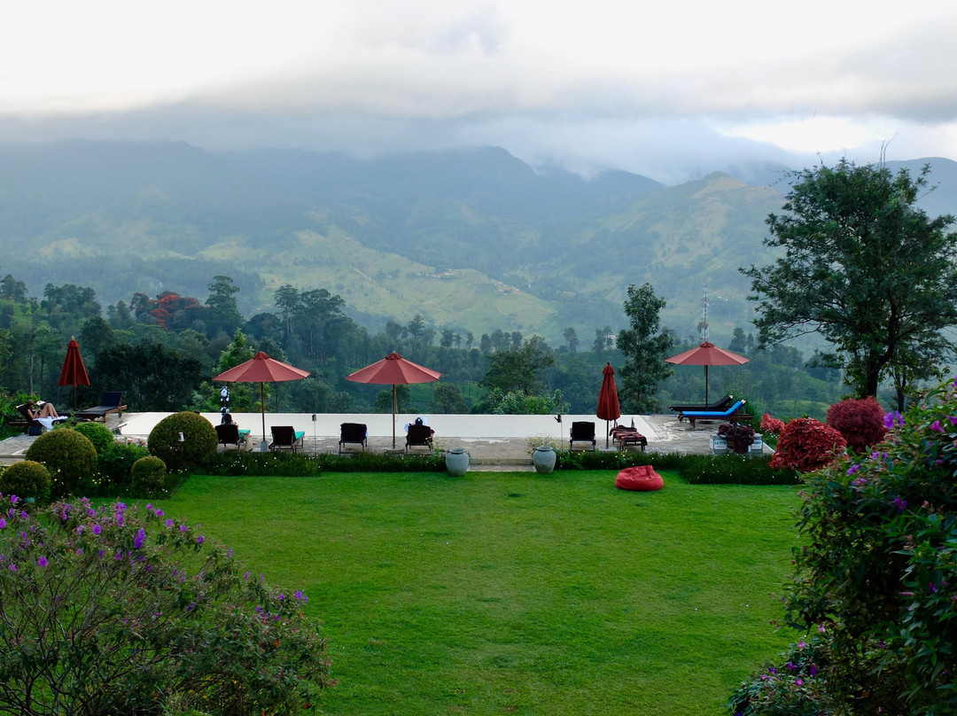 玛杜可茶园生态旅馆主图