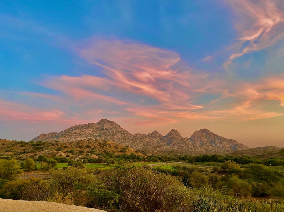 Jawai Legacy Shambhala主图