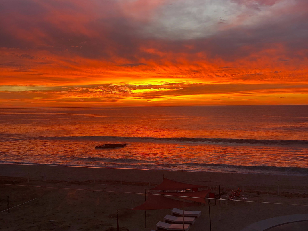 Vidasoul Hotel主图