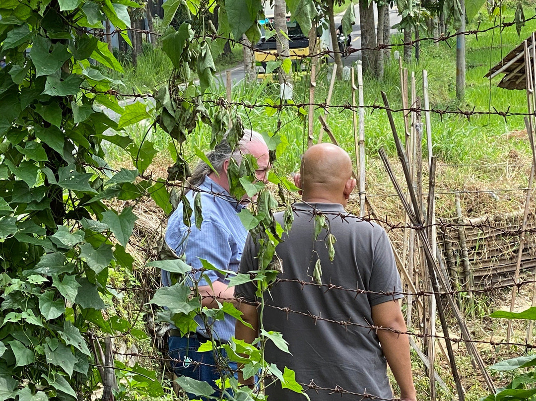 Diaz Travelindo-万隆必去景点