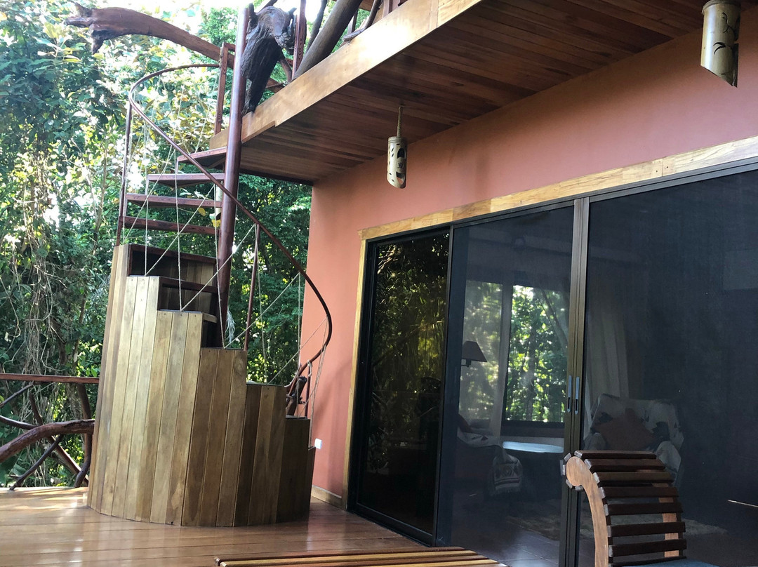 Avatar Eco Lodge主图