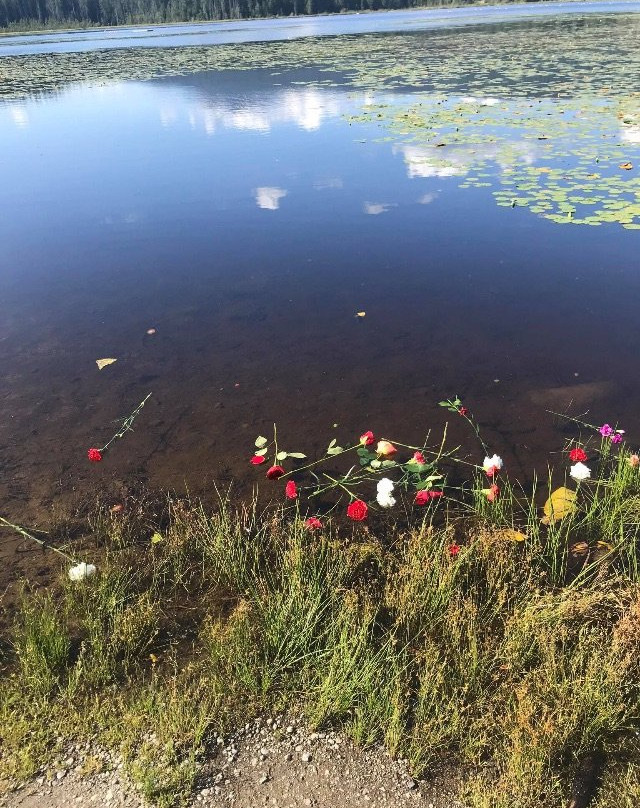 Whonnock Lake-枫树岭必去景点