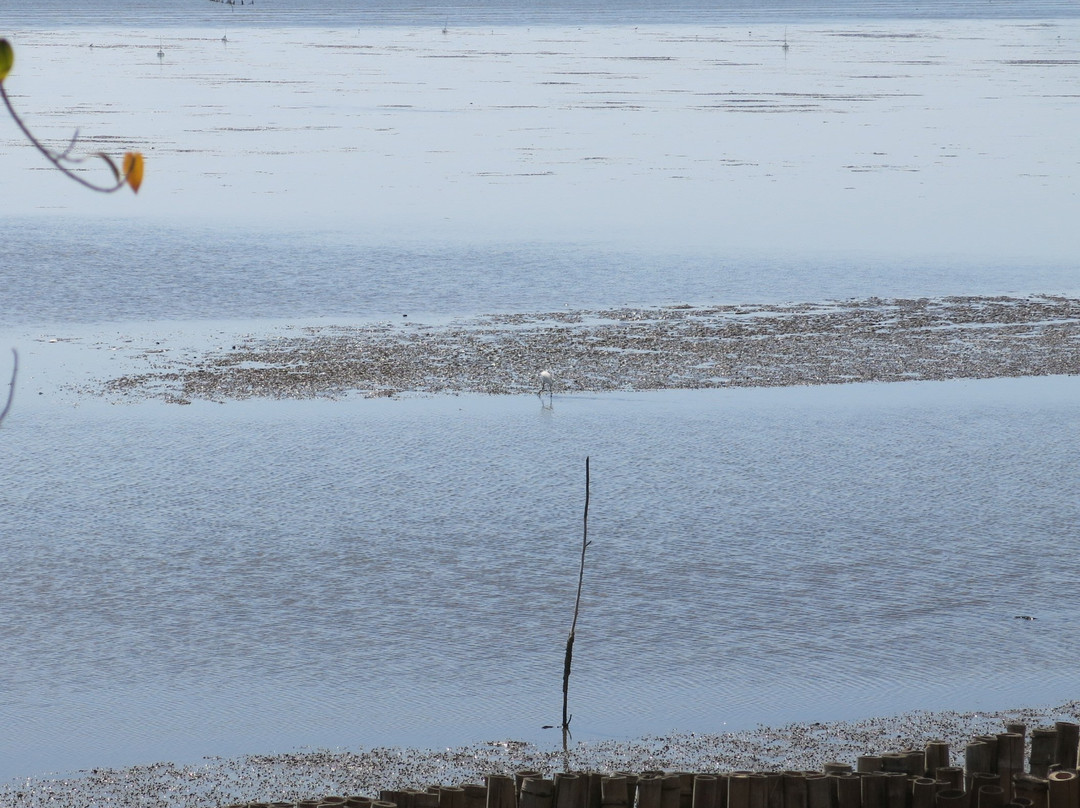 海岛别墅度假村主图
