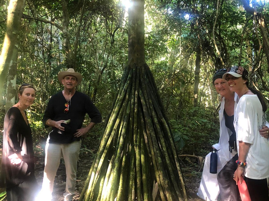 Bala Tours & Ecolodges-Rurrenabaque必去景点