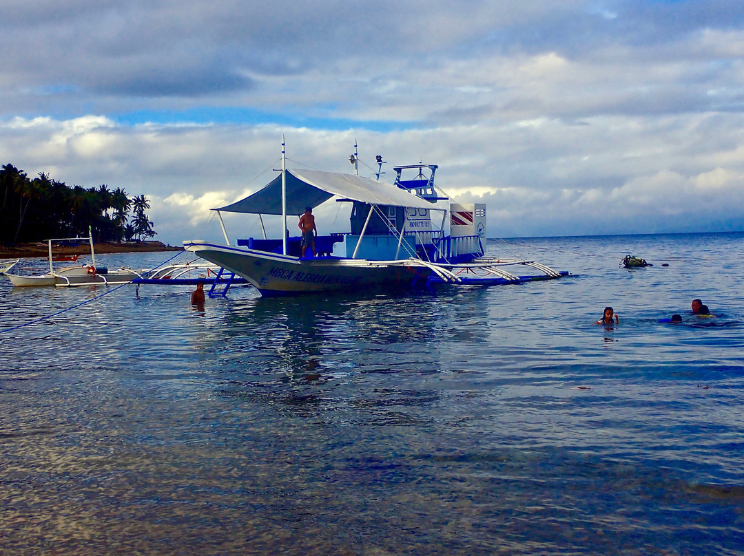 Alegria Dive Resort景点图片