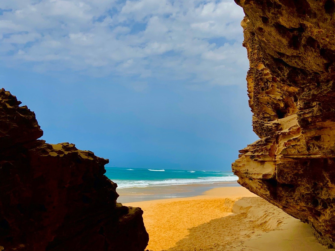 Boa Vista Tours-博阿维斯塔必去景点