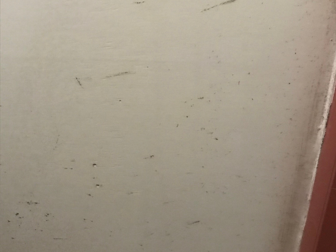 洛恩车夫客栈主图