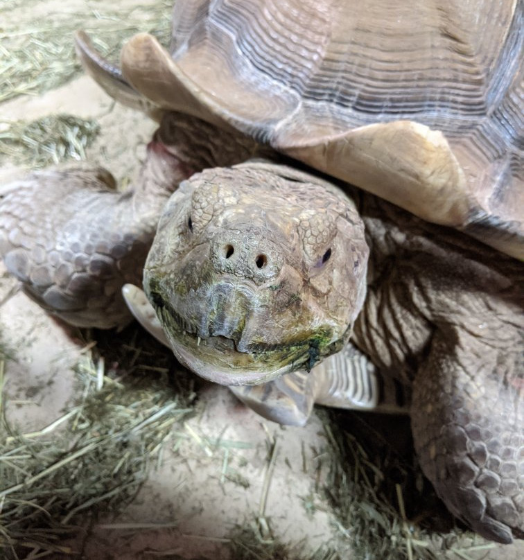 SeaQuest Trumbull-特兰伯尔必去景点