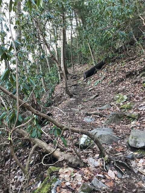 Hen Wallow Water Falls-大雾山国家公园必去景点