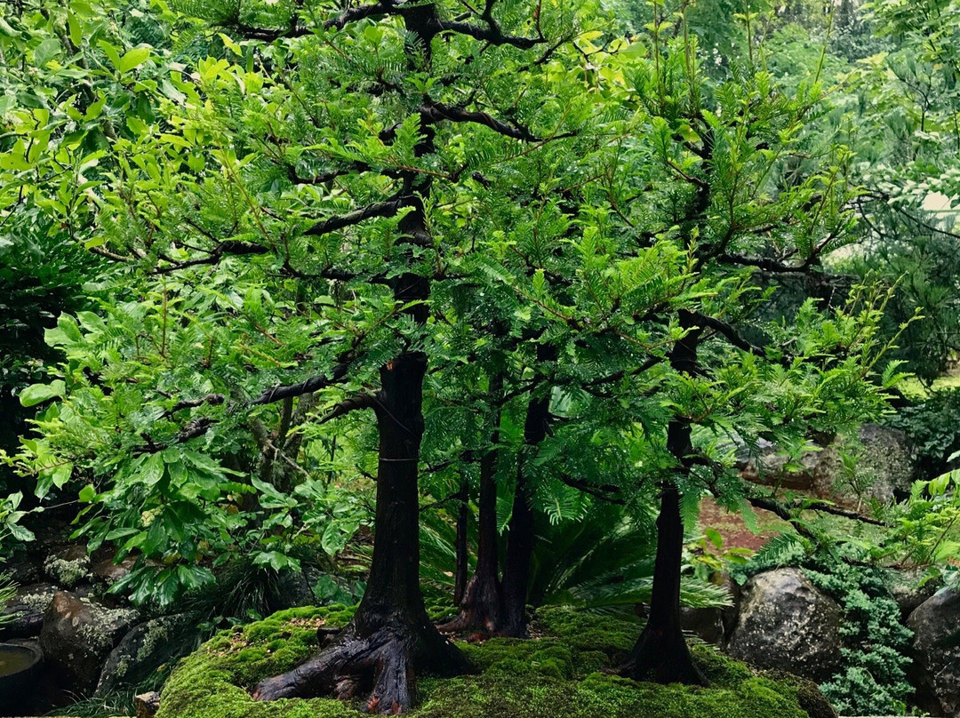 Mossgrove Bed and Breakfast主图