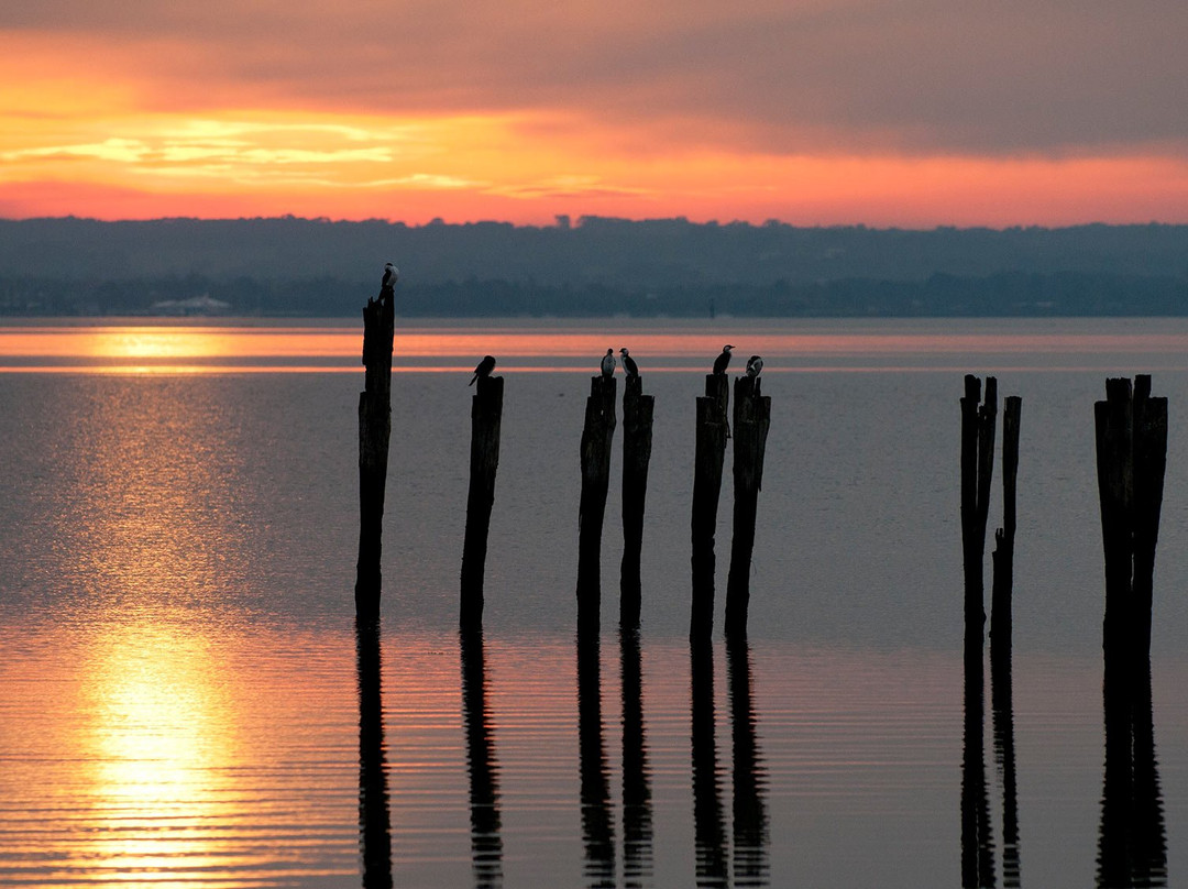 French Island National Park景点图片