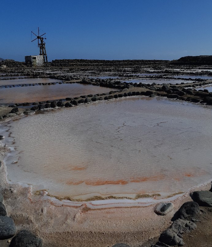 Salinas de Tenefé景点图片