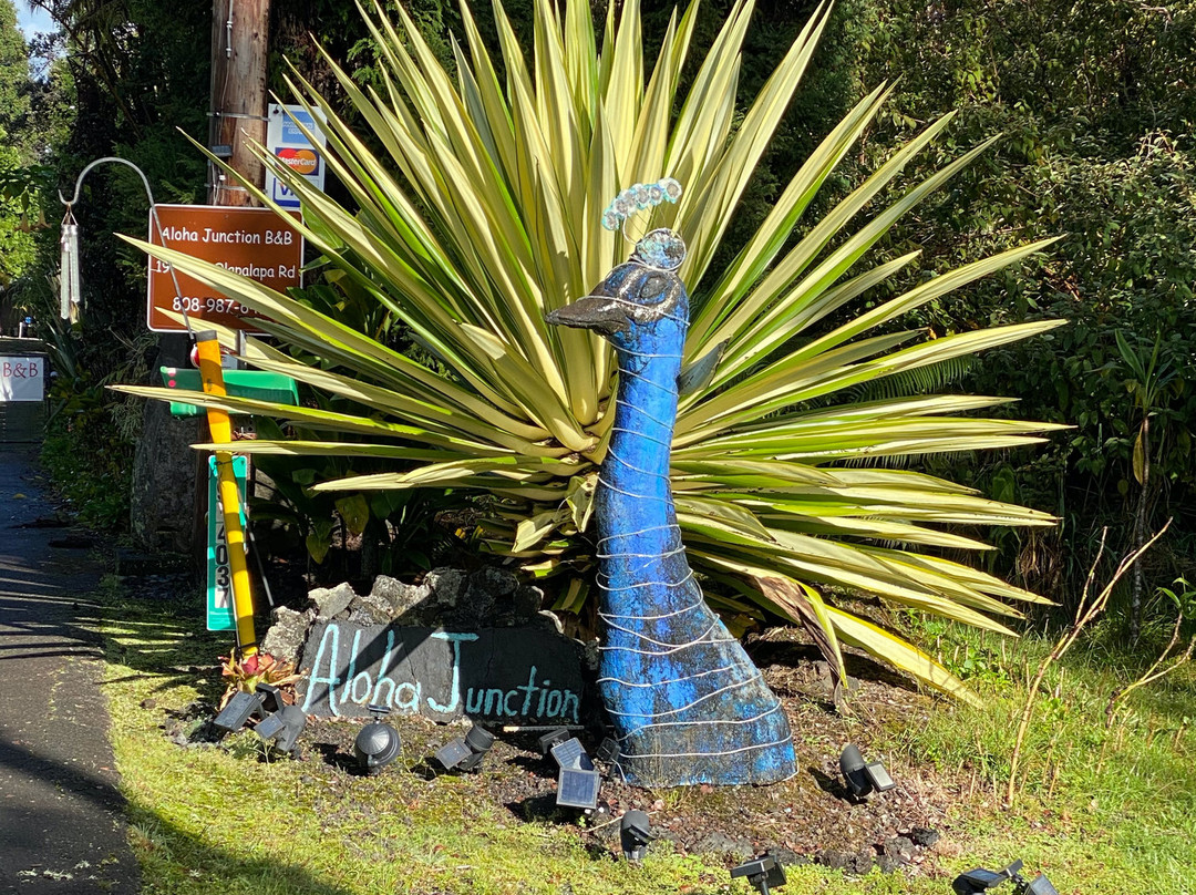 阿洛哈交汇家庭式旅馆主图