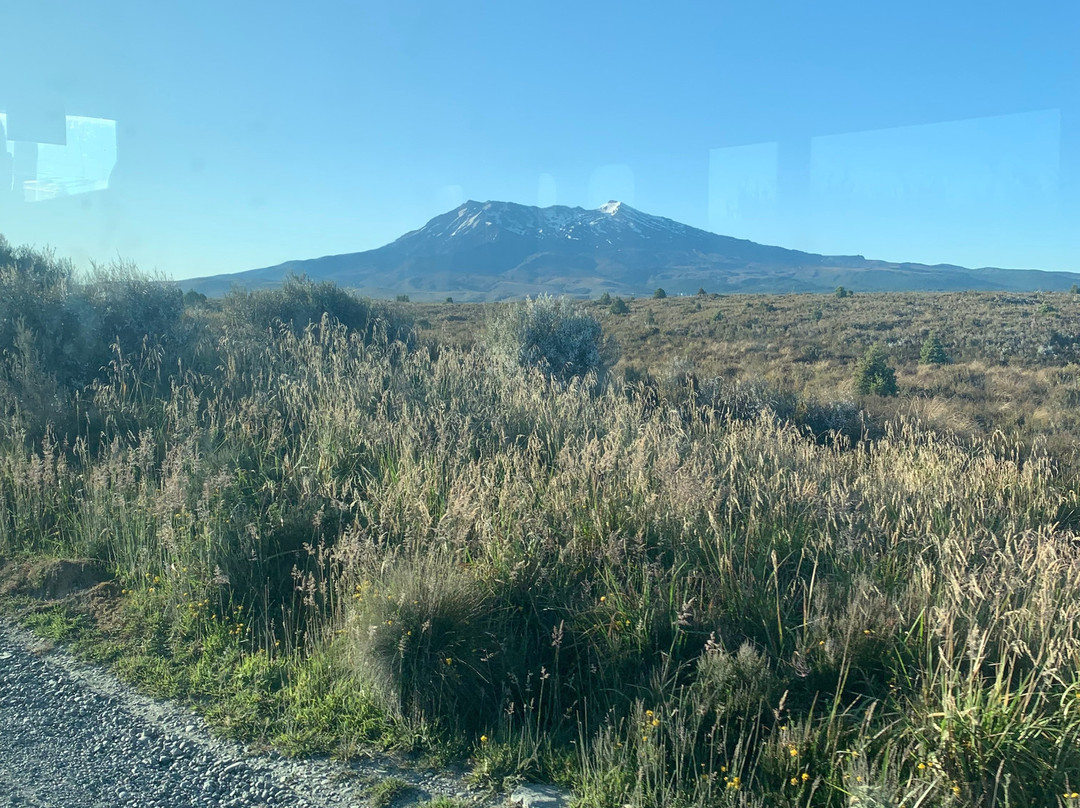 Tongariro Track Transport景点图片