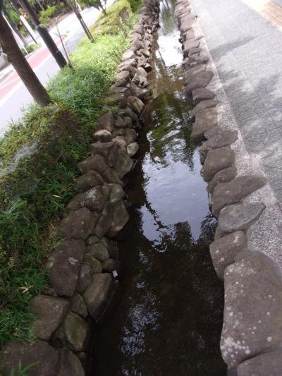 Kasai Shinsui Shiki no Michi-江戸川区必去景点