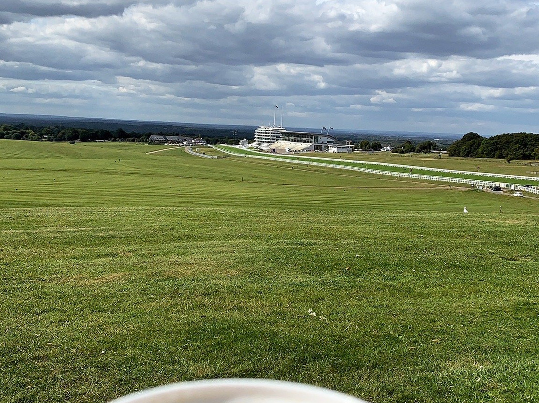 Epsom Downs Racecourse景点图片
