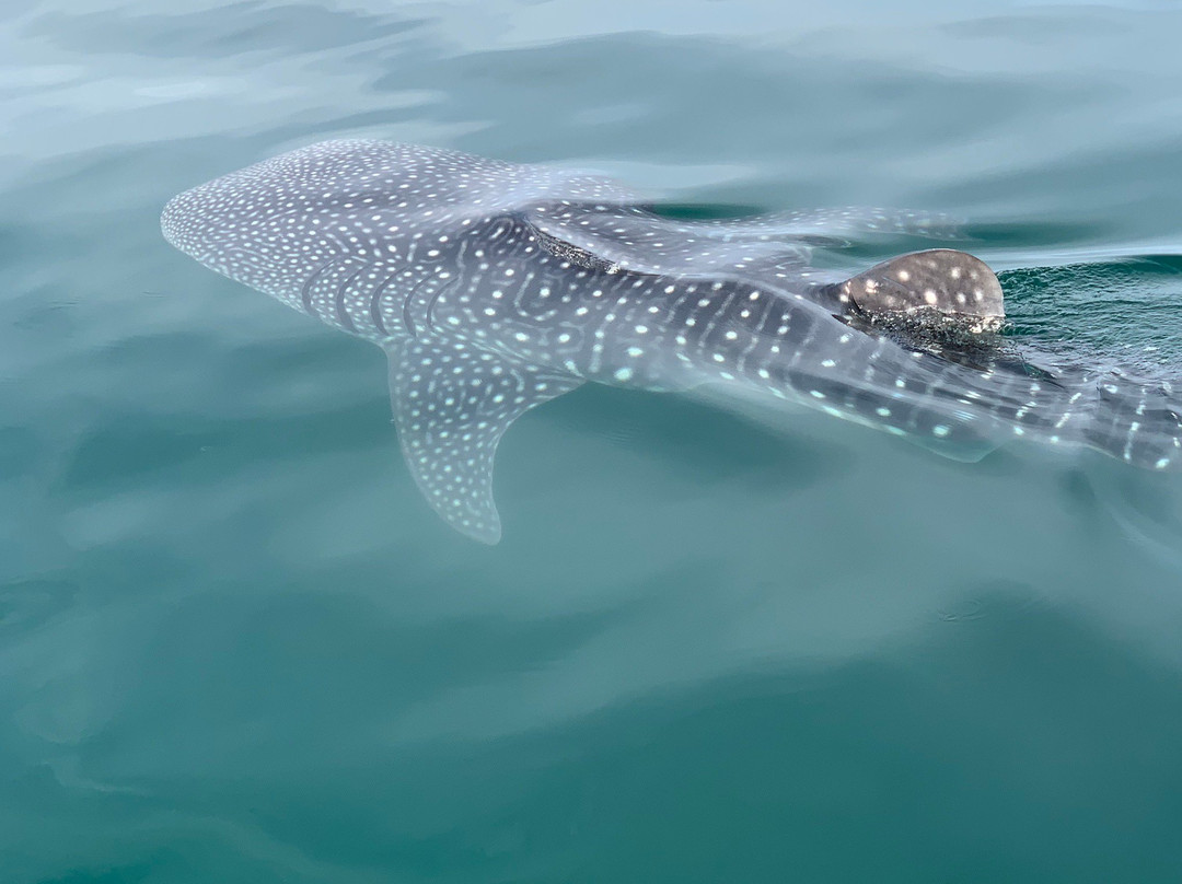 MAGICAL ADVENTURES LPZ-拉巴斯必去景点