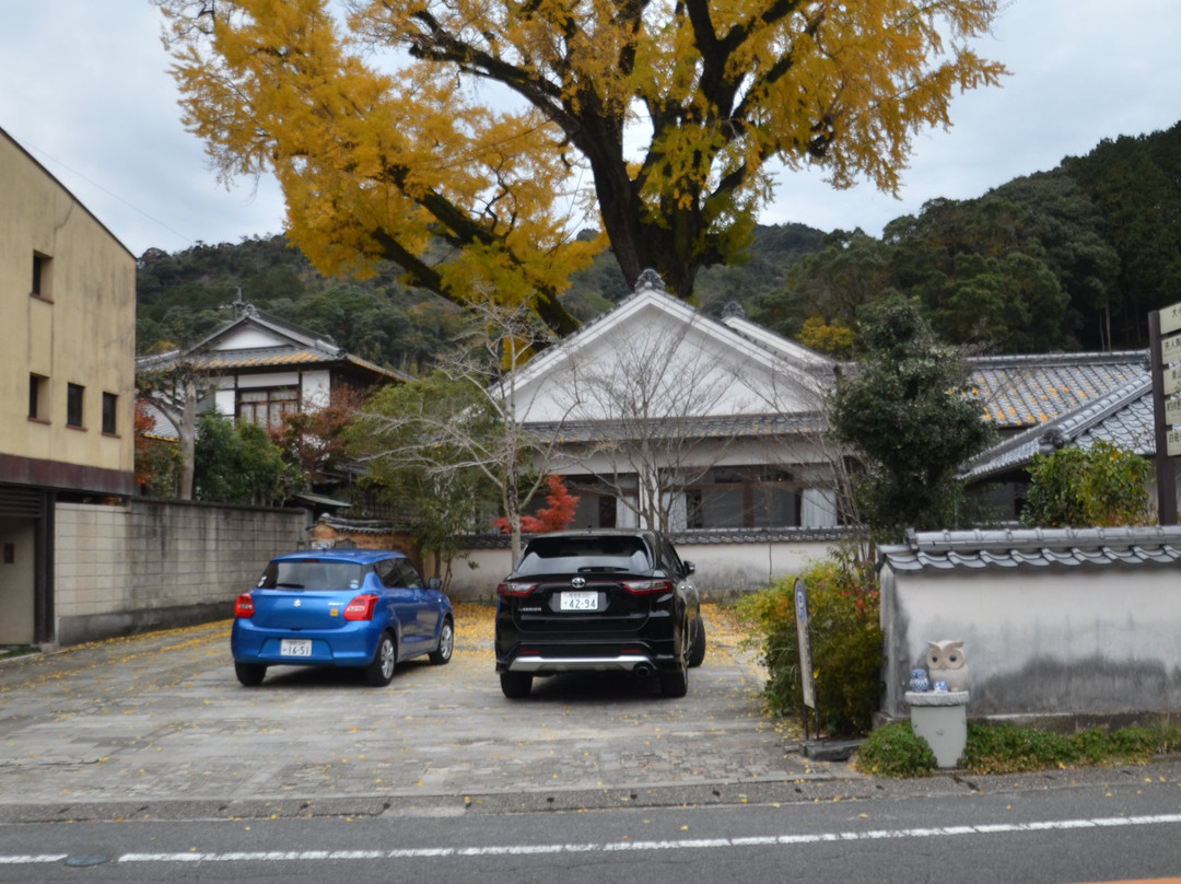 Izumiyama Large Ginkgo Tree景点图片