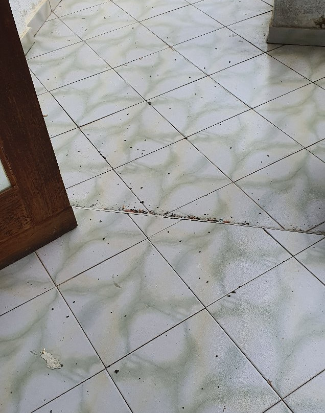 Oasey Ayurveda Hotel主图